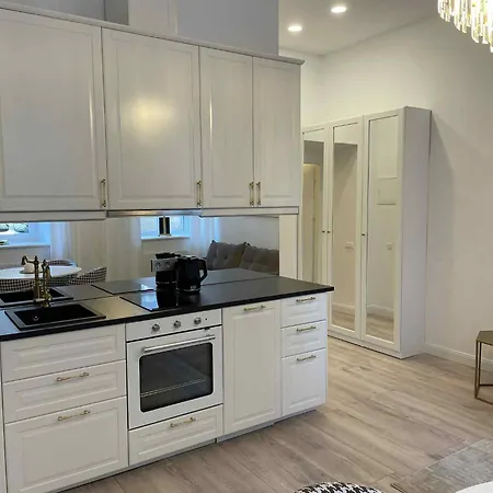 Apartment Luxury Self Check-in Wilna